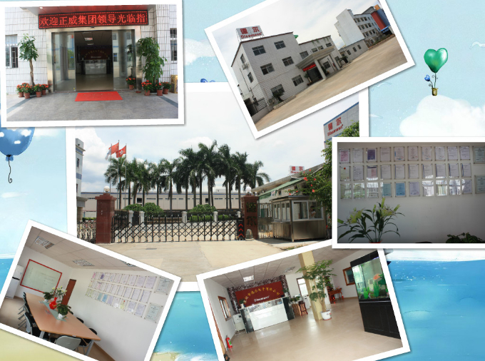 Square Ceramic Car Fuses for Semiconductor Protection DC750V MEV Fuses in China